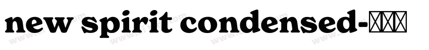 new spirit condensed字体转换 new spirit condensed字体转换